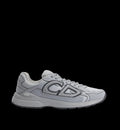 Dior B30 - Gray